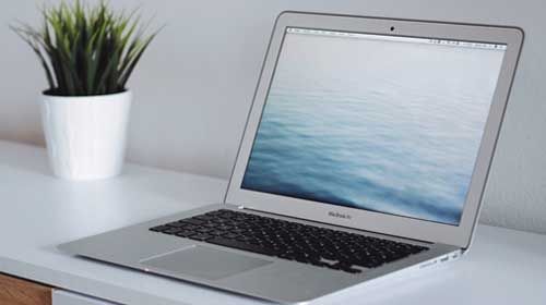 A macbook air on a desk with a plant