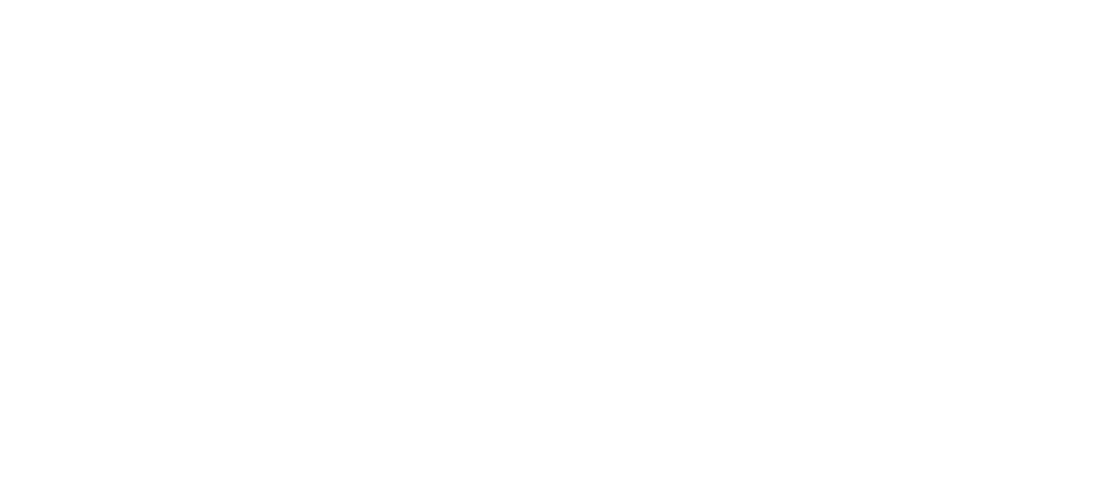 Insurance Inverted Logo